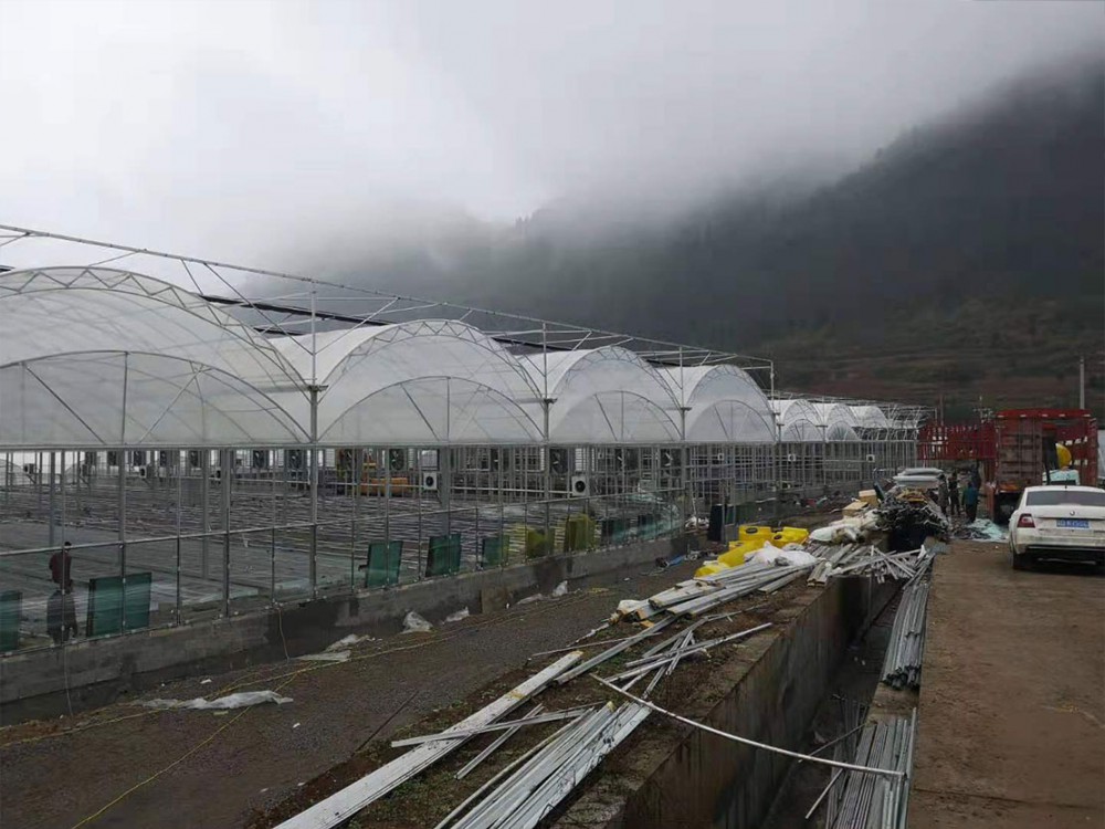 连栋双拱双膜温室