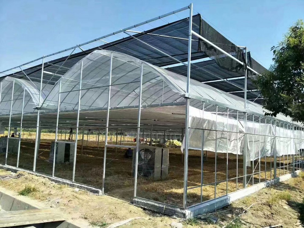 连栋薄膜温室