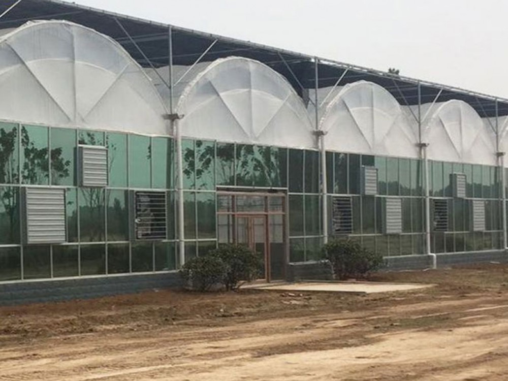 连栋双拱双膜温室