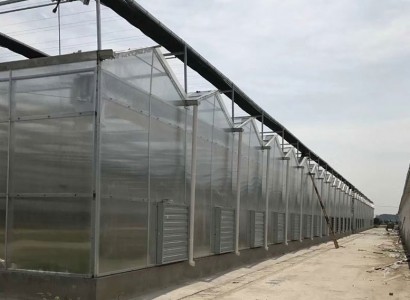 阳光板温室